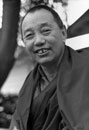 Gyatrul Rinpoche Quotes